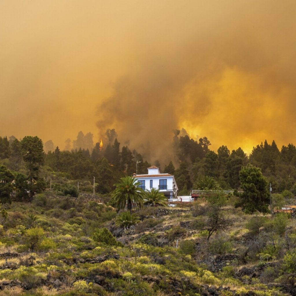 2,000 evacuated in La Palma wildfire in Spain’s Canary Islands; official says blaze ‘out of control’ | AP News