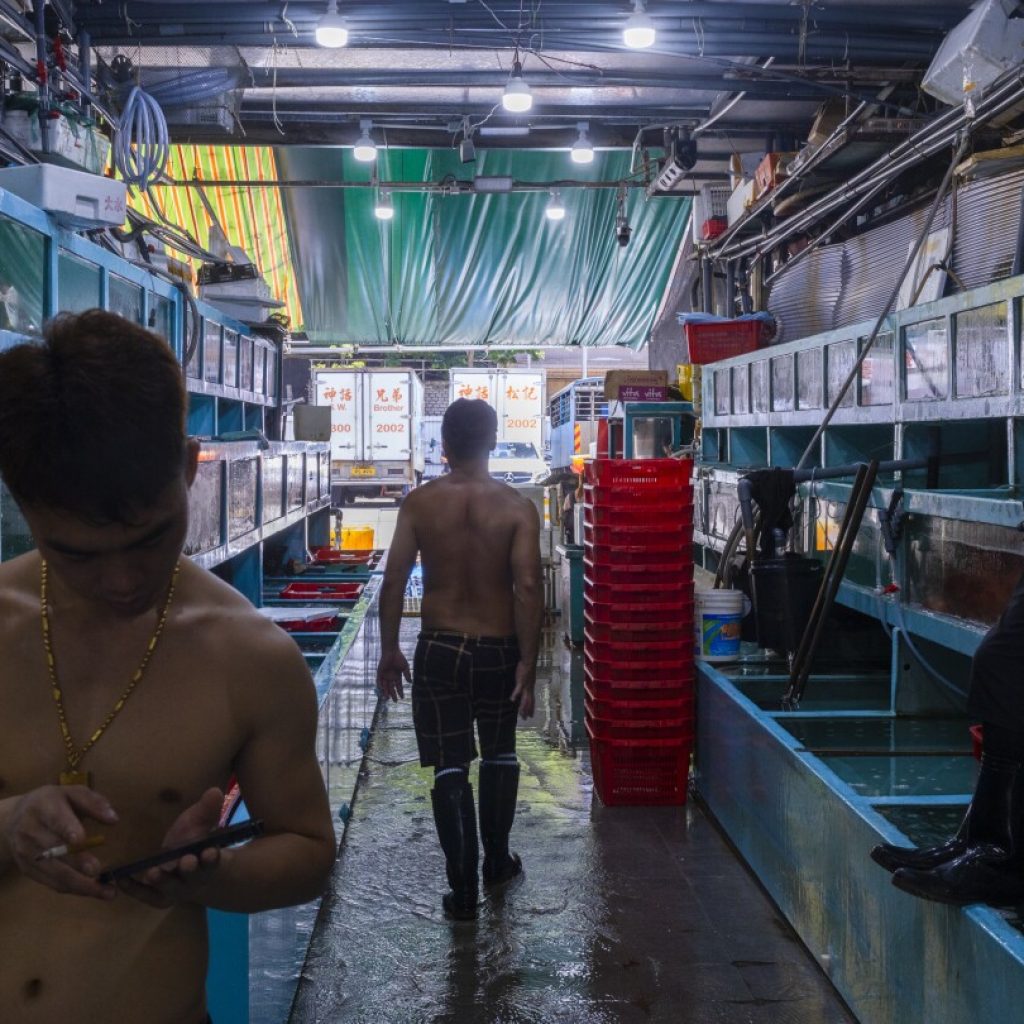 Hong Kong’s seafood businesses brace for a sales slump as Japan plans to discharge radioactive water | AP News