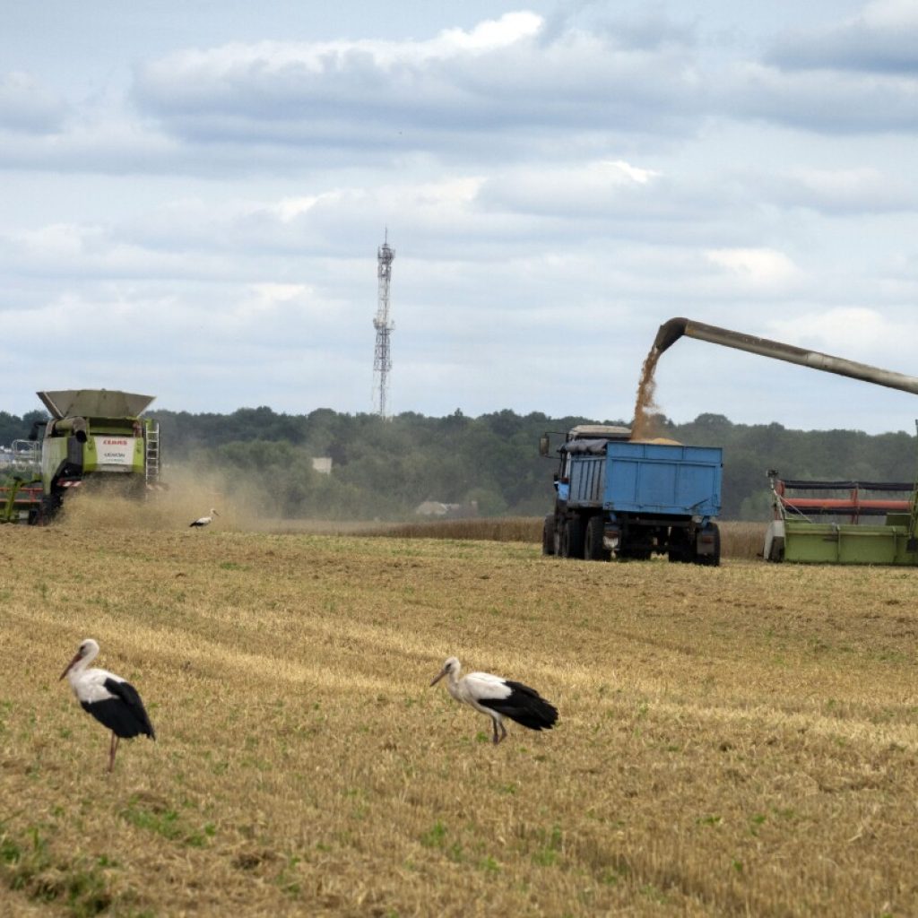 Russia halts wartime deal allowing Ukraine to ship grain. It’s a blow to global food security | AP News