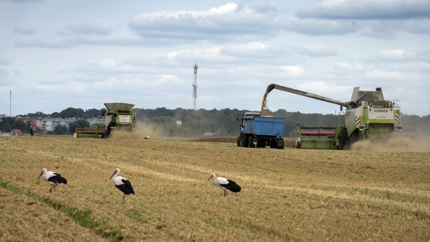 Russia halts wartime deal allowing Ukraine to ship grain. It’s a blow to global food security | AP News