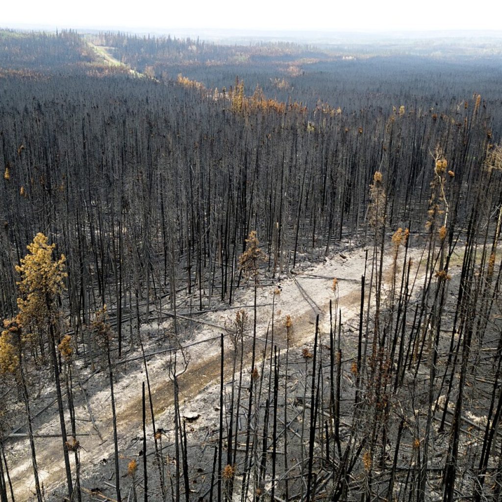 Wildfires have burned a record amount of area in the Canadian province of British Columbia | AP News