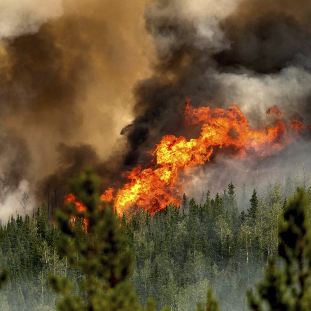 Canada’s wildfires blacken thousands of square miles, upend lives | AP News