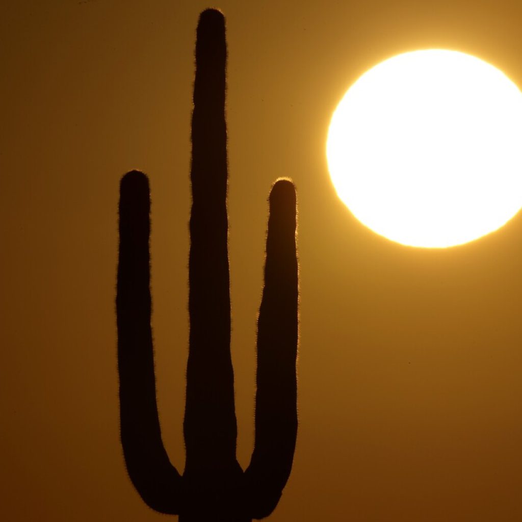 Arizona woman’s heat death after her power was cut off spurred changes, but advocates want more | AP News