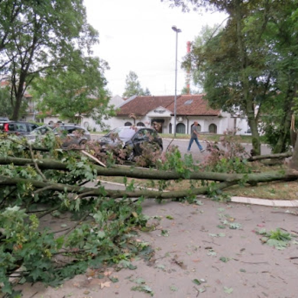 Šapić: Ukupna šteta u Beogradu posle oluja procenjena na skoro 76 miliona dinara