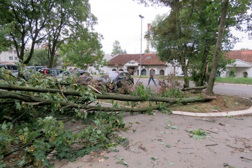 Šapić: Ukupna šteta u Beogradu posle oluja procenjena na skoro 76 miliona dinara