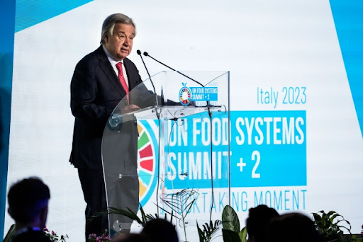 Šef UN: Rusija da se vrati sporazumu o žitu, inače će stradati najugroženiji među gladnima