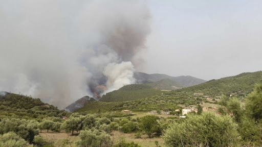 U Alžiru poginulo najmanje 34 ljudi u šumskim požarima koji su sada 80 odsto savladani