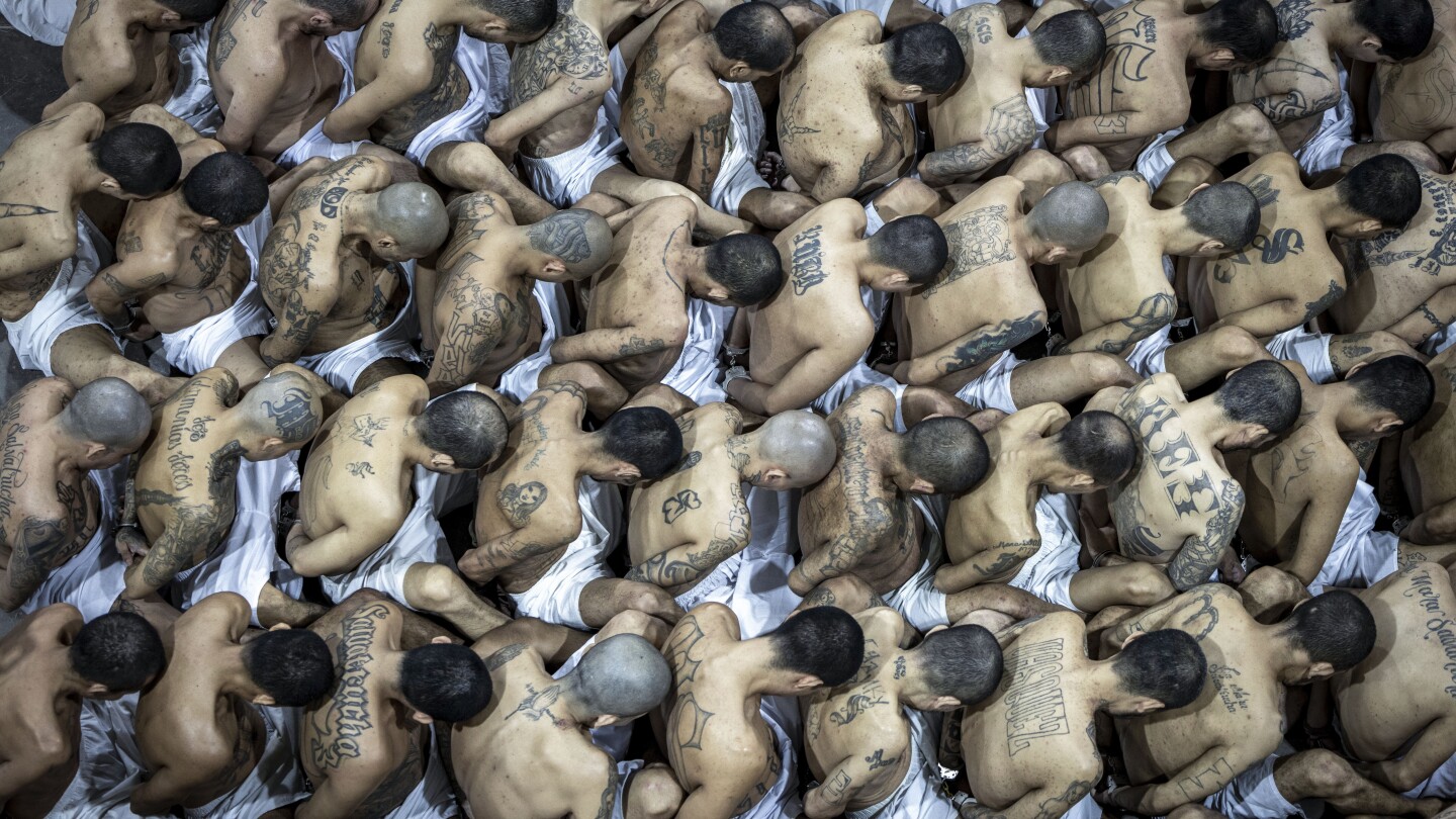 El Salvador plans mass trials for those imprisoned in gang crackdown | AP News