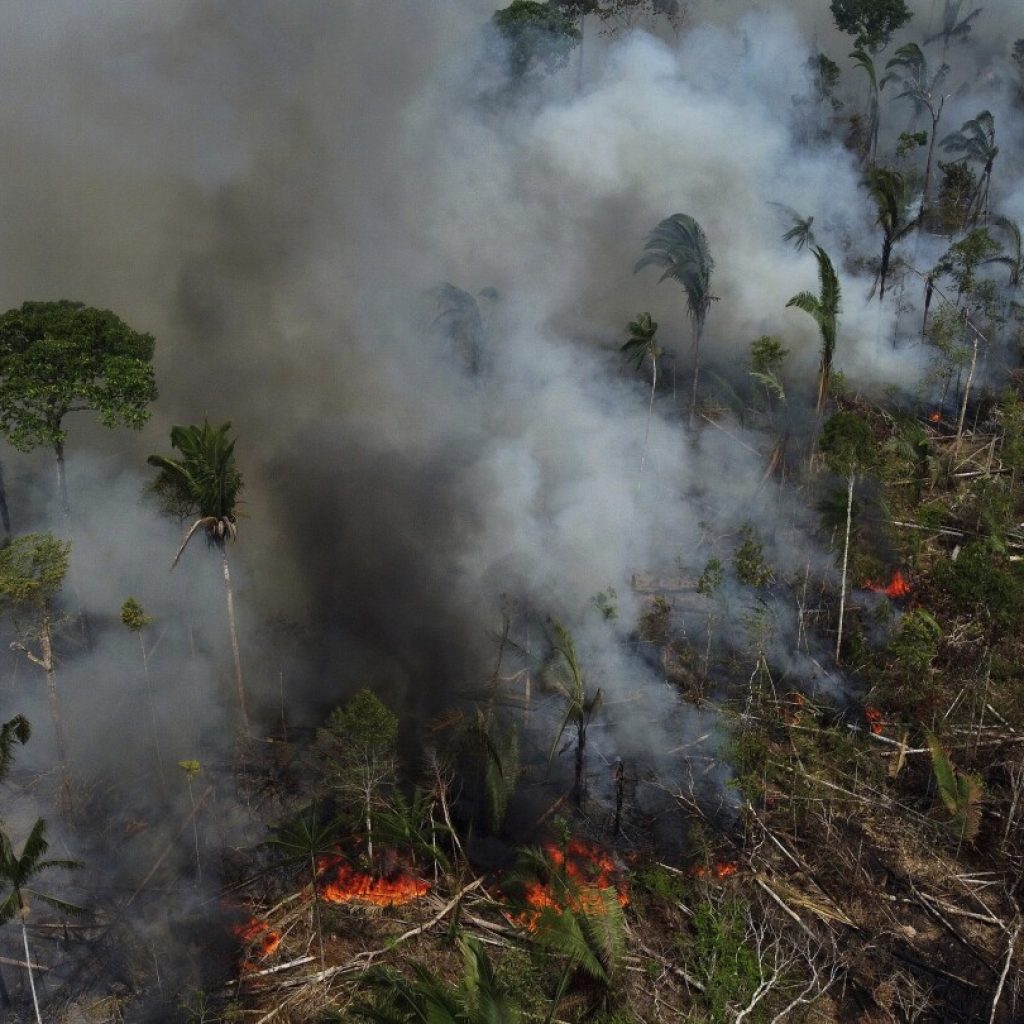 Governments are gathering to talk about the Amazon rainforest. Why is it so important to protect? | AP News