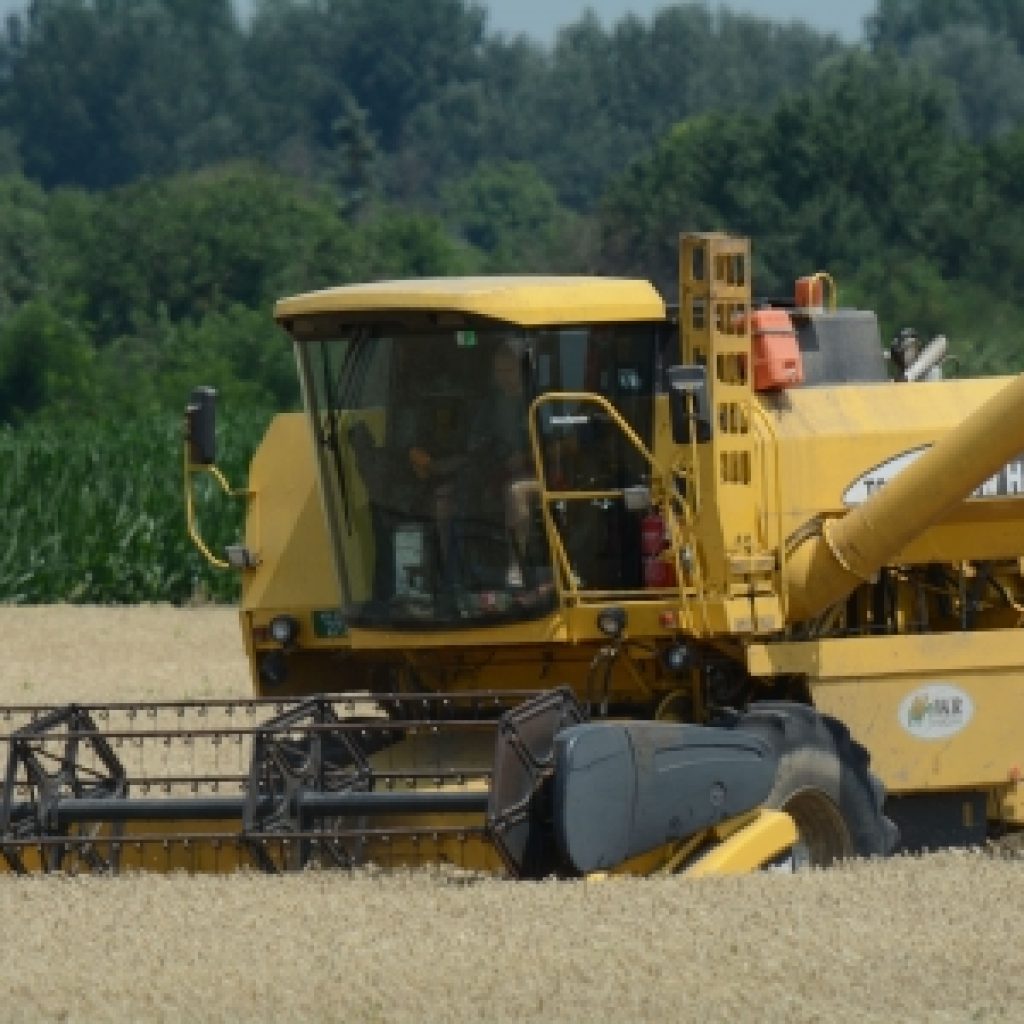 Raspisan javni poziv za nabavku novih mašina i opreme za primarnu biljnu proizvodnju u Srbiji