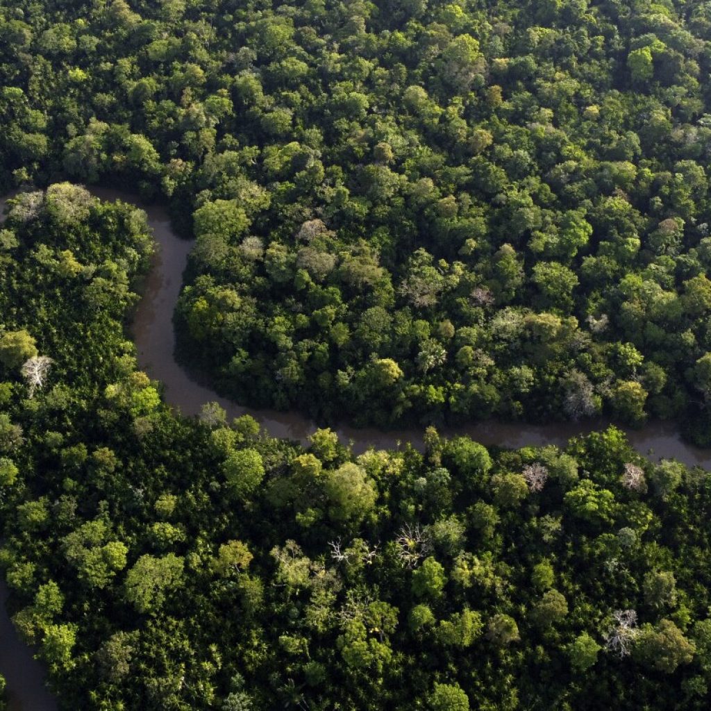 Amazon nations seek common voice on climate change, urge action from industrialized world | AP News