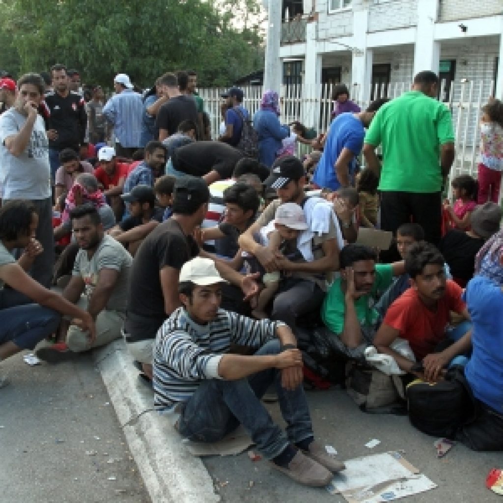 Policija na području Sombora našla 382 ilegalna migranta, Sirijac uhapšen zbog posedovanja droge