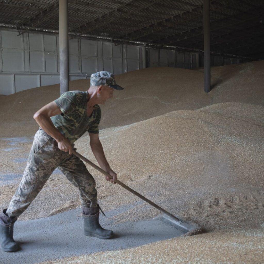 As the Black Sea becomes a battleground, one Ukrainian farmer doesn’t know how he’ll sell his grain | AP News