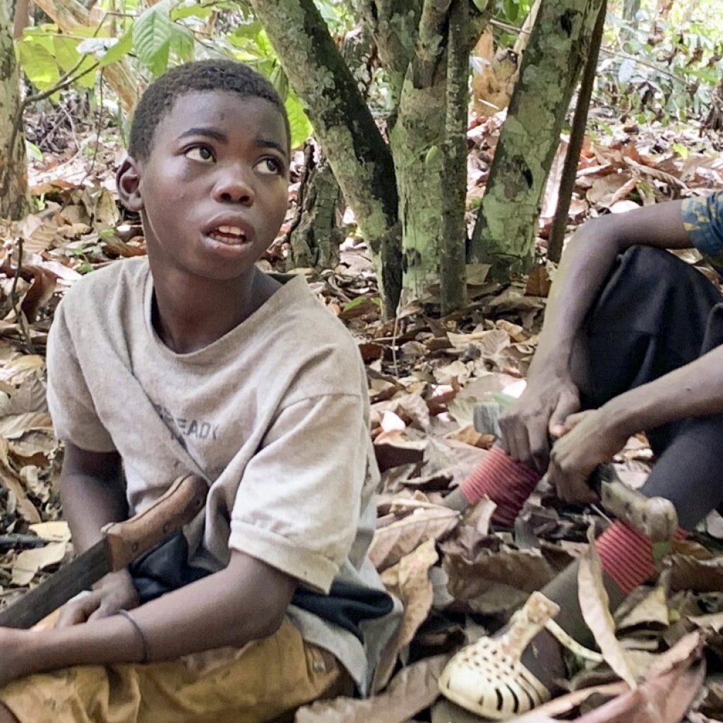 Advocates sue federal government for failing to ban imports of cocoa harvested by children | AP News