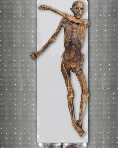 Najpoznatija evropska mumija – čovek iz alpskog glečera – poreklom iz Anadolije