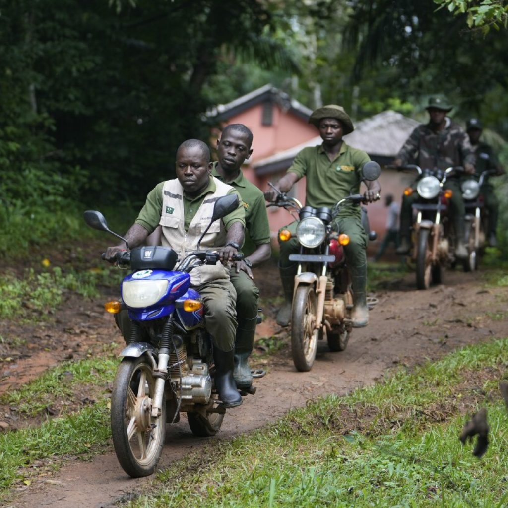 A Nigerian forest and its animals are under threat. Poachers have become rangers to protect both | AP News