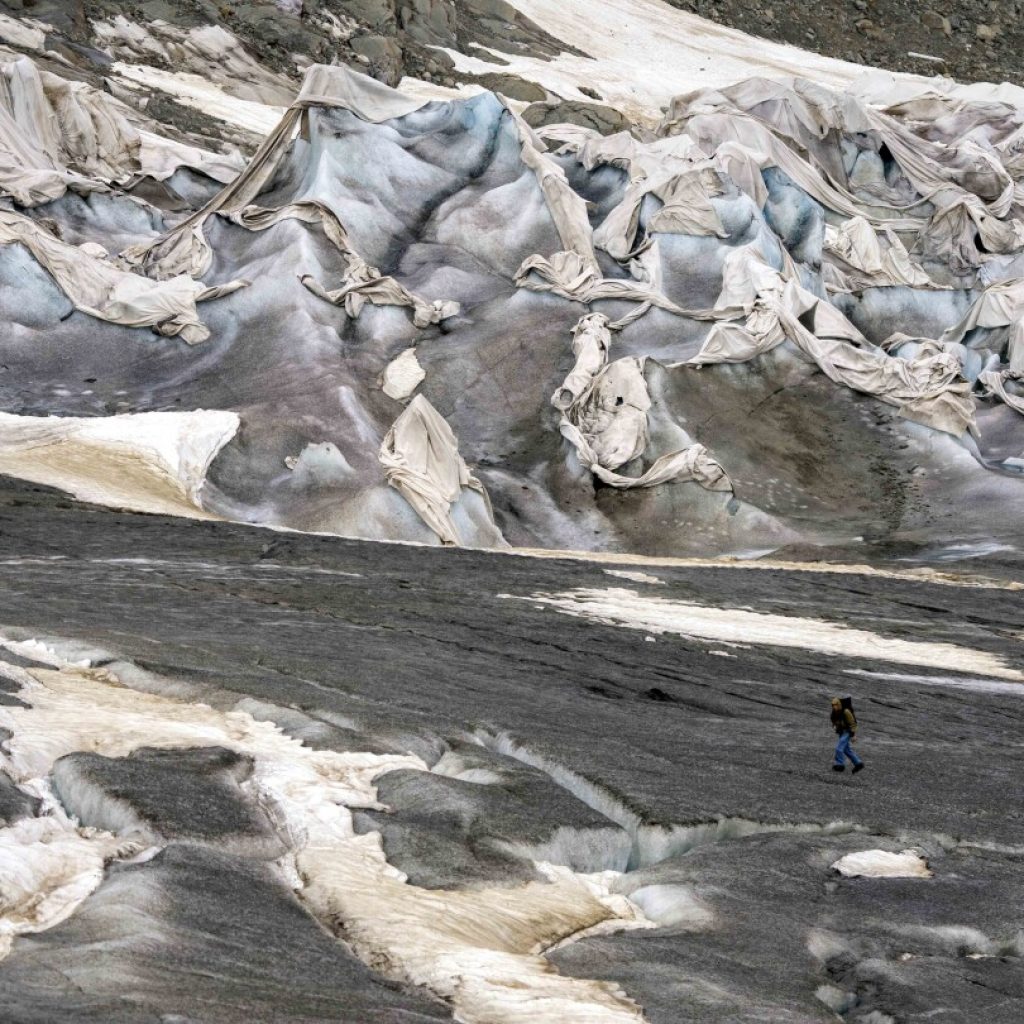 As glaciers melt, a new study seeks protection of ecosystems that emerge in their place | AP News