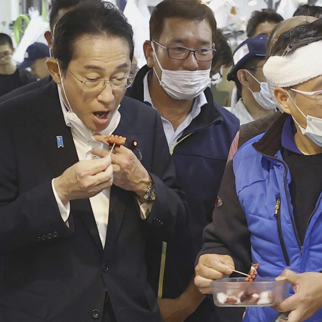 Japan’s PM visits fish market, vows to help fisheries hit by China ban over Fukushima water release | AP News