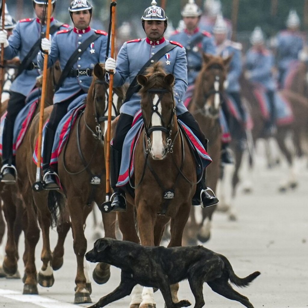 AP Week in Pictures: Global | Sept-15-21, 2023 | AP News