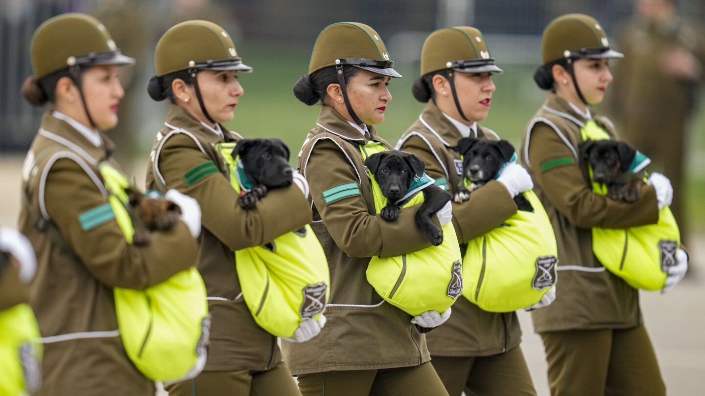 AP Week in Pictures: Latin America and Caribbean | AP News