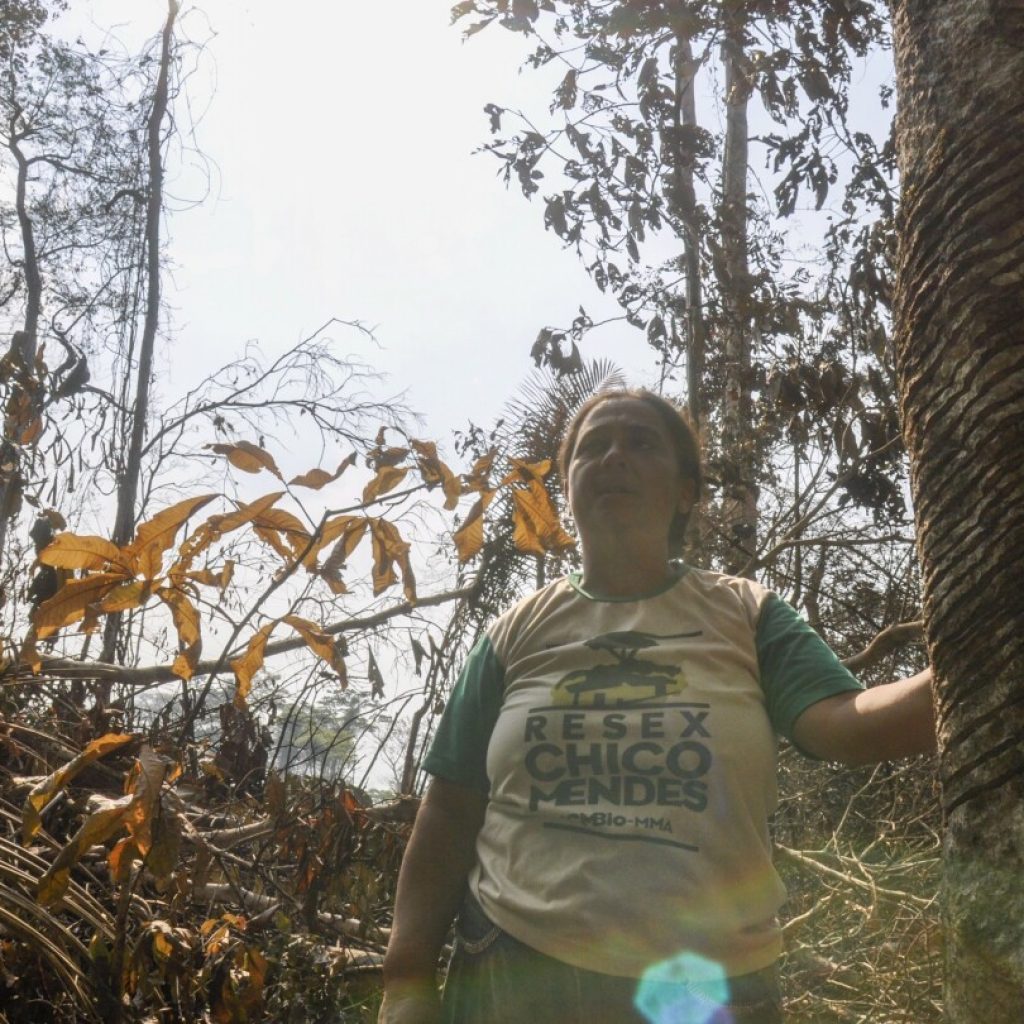 Brazil slows Amazon deforestation, but in Chico Mendes’ homeland, it risks being too late | AP News