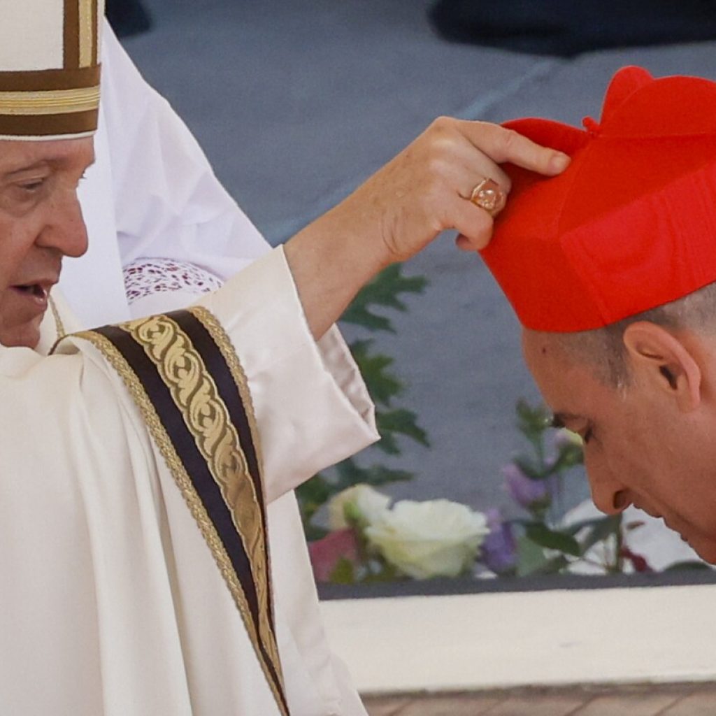 Pope Francis creates 21 new cardinals who will help him to reform the church and cement his legacy | AP News