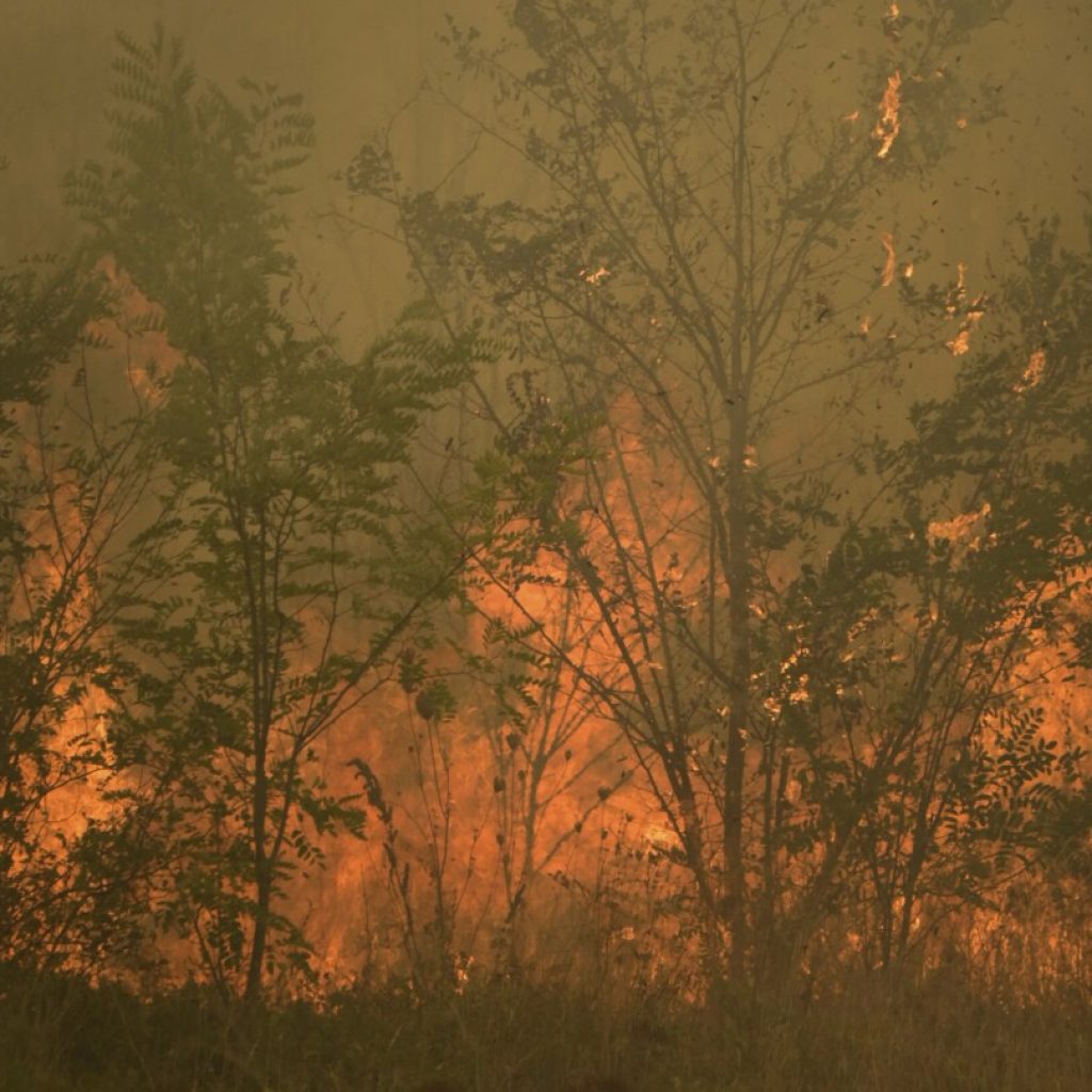 Greece: Firefighters rescue 25 migrants trapped in forest as massive wildfire approached | AP News