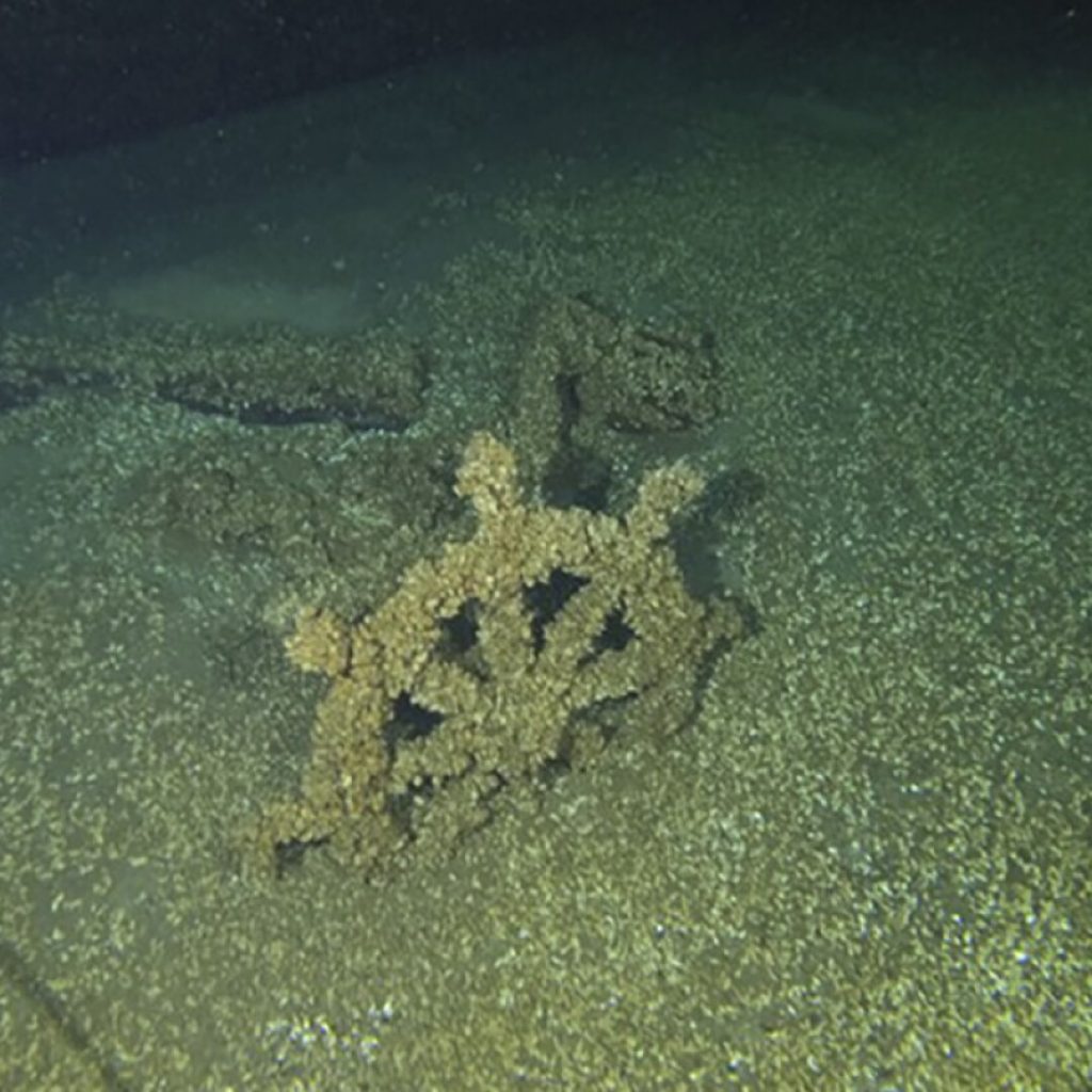 Schooner that sank in Lake Michigan in 1881 found intact, miles off Wisconsin coastline | AP News