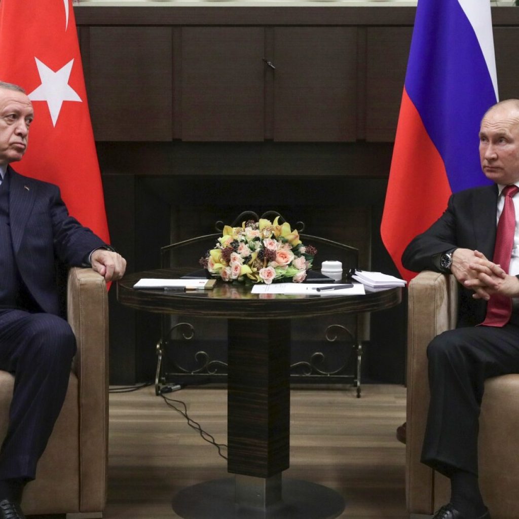 The Turkish president is to meet Putin with the aim of reviving the Ukraine grain export deal | AP News