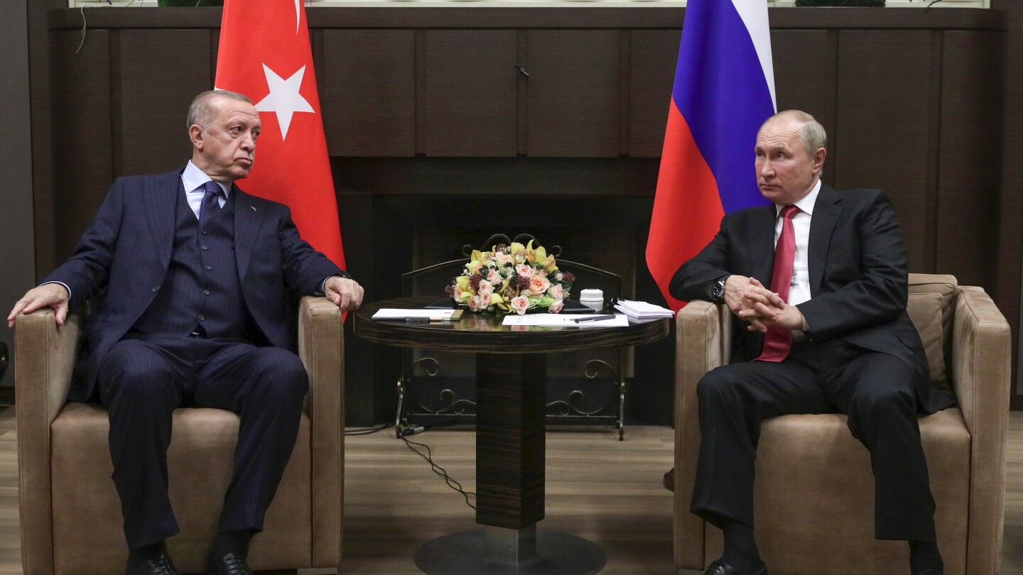 The Turkish president is to meet Putin with the aim of reviving the Ukraine grain export deal | AP News