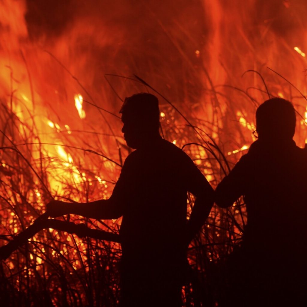 Firefighters battle peatland fires on Indonesia’s Sumatra island | AP News