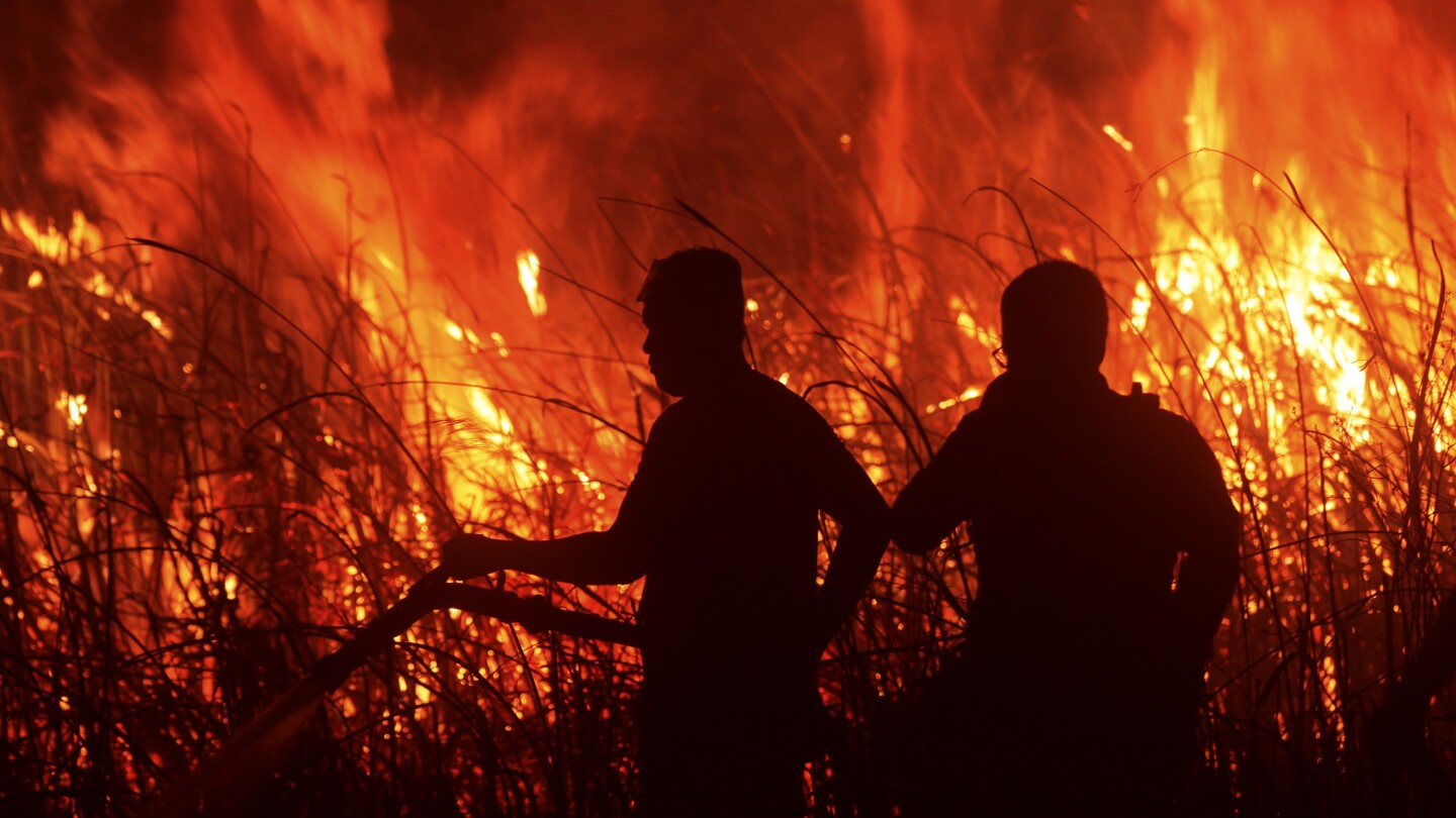 Firefighters battle peatland fires on Indonesia’s Sumatra island | AP News