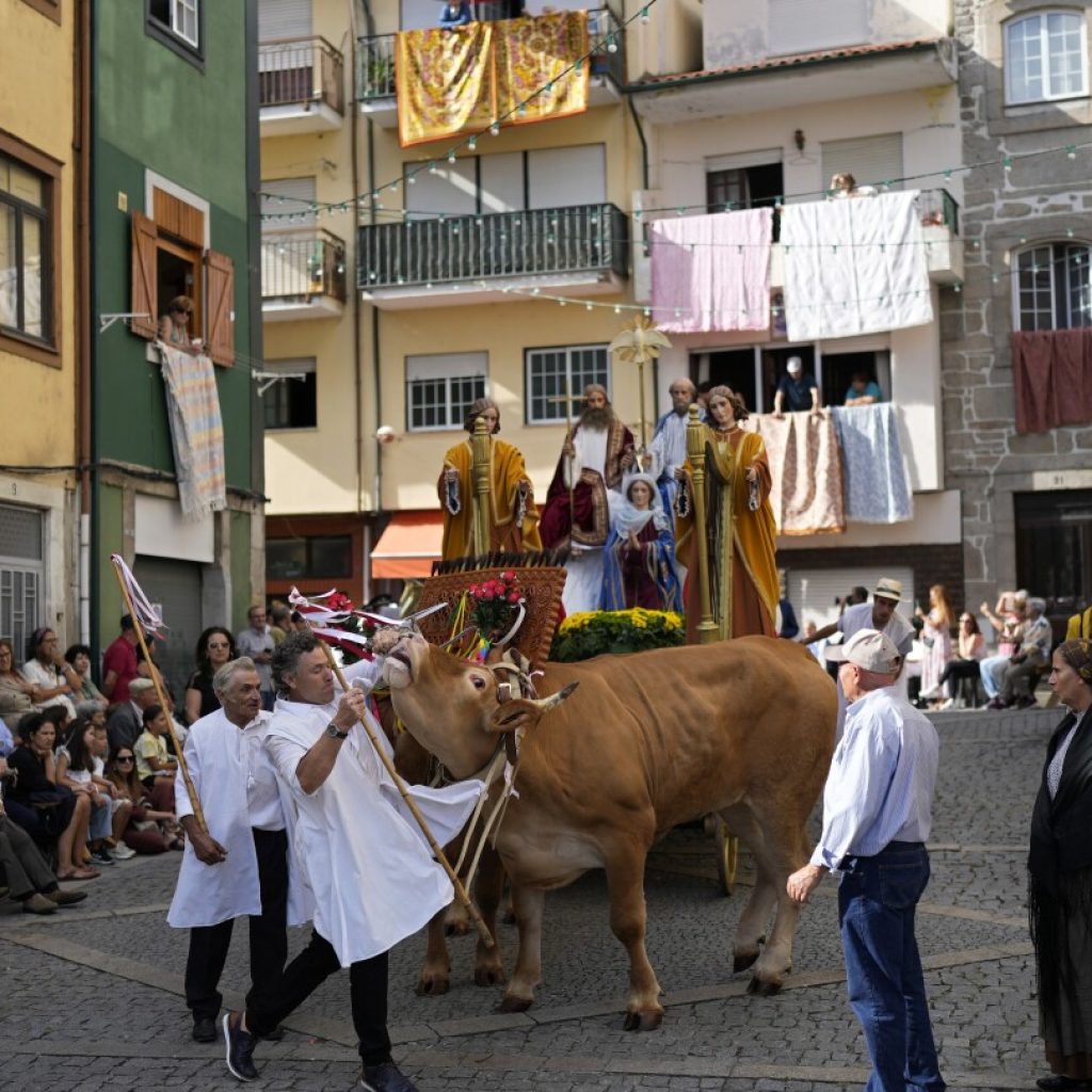 Ox-pulled floats with sacred images of Mary draw thousands to Portugal’s wine-country procession | AP News