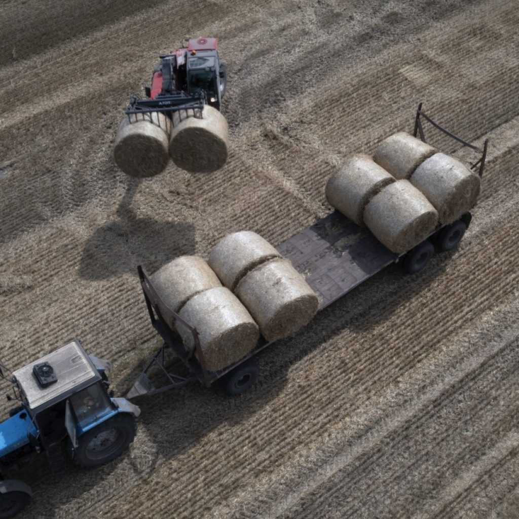 EU faces deadline on extending Ukrainian grain ban as countries threaten to pass their own | AP News