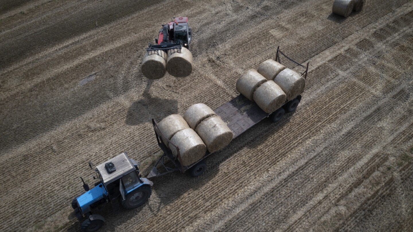 EU faces deadline on extending Ukrainian grain ban as countries threaten to pass their own | AP News