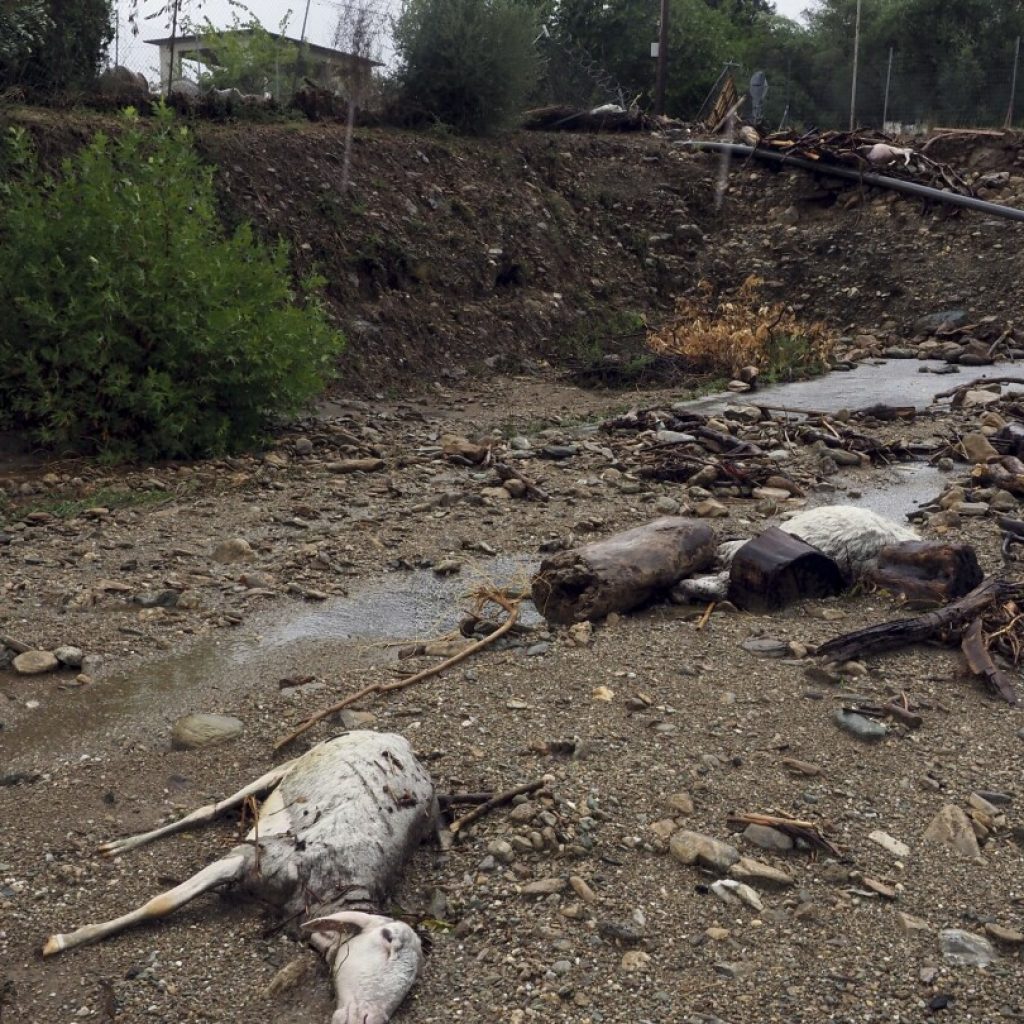 The cost of damage from the record floods in Greece’s breadbasket is estimated to be in the billions | AP News