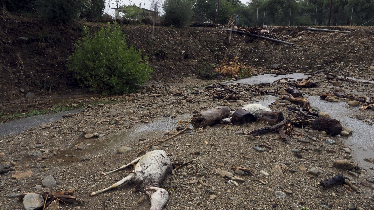 The cost of damage from the record floods in Greece’s breadbasket is estimated to be in the billions | AP News