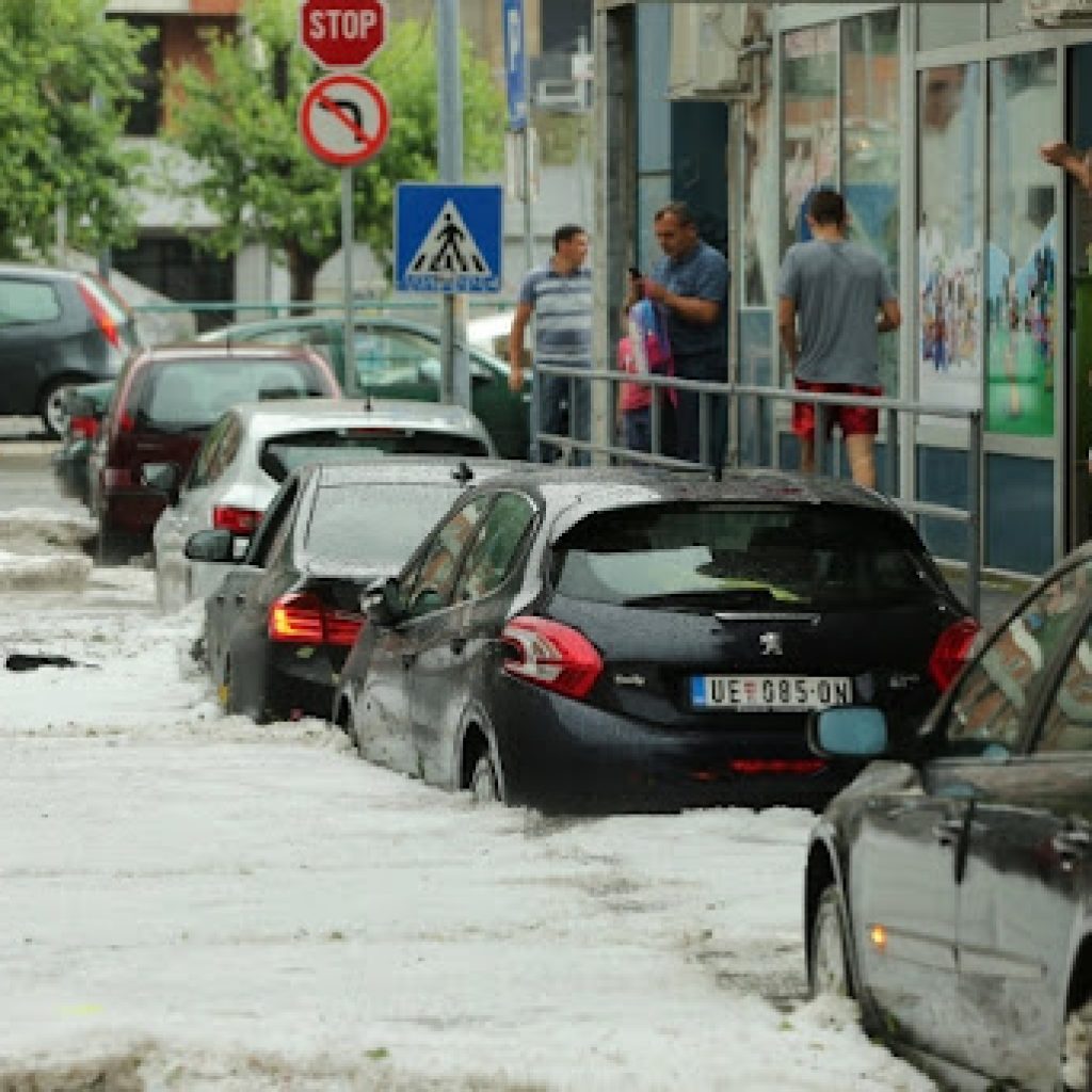 Dveri Novi Sad: Urbanizmu i Gradskom zelenilu nisu važni građani Telepa