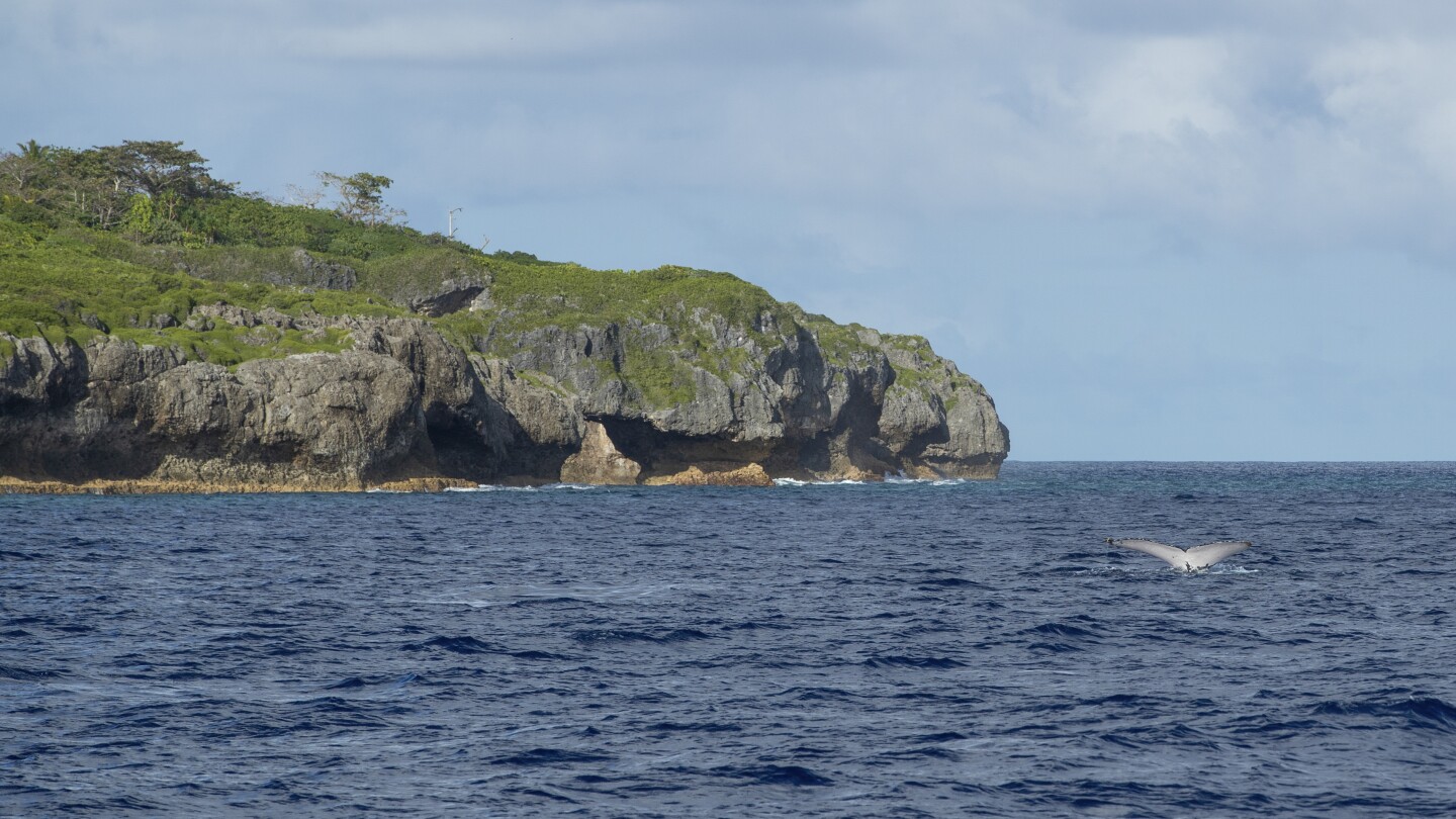 Sponsor an ocean? Tiny island nation of Niue has a novel plan to protect its slice of the Pacific | AP News