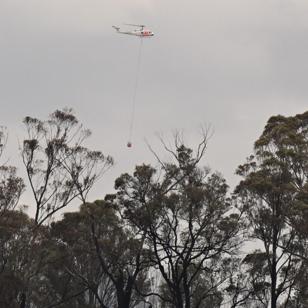 Wildfire destroys 3 homes in southeastern Australia and a man is injured by a falling tree | AP News