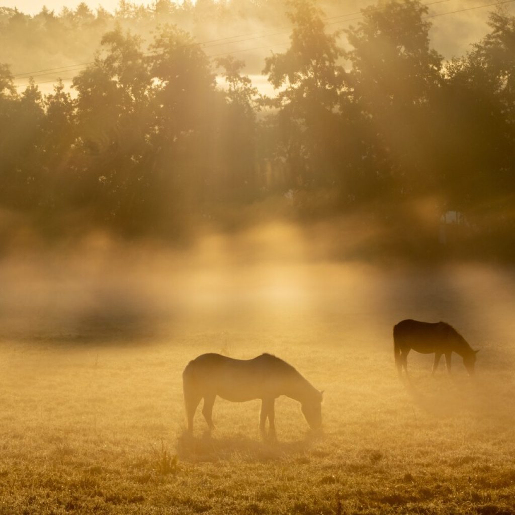 AP Week in Pictures: Europe and Africa | Sept. 29-Oct. 5, 2023 | AP News