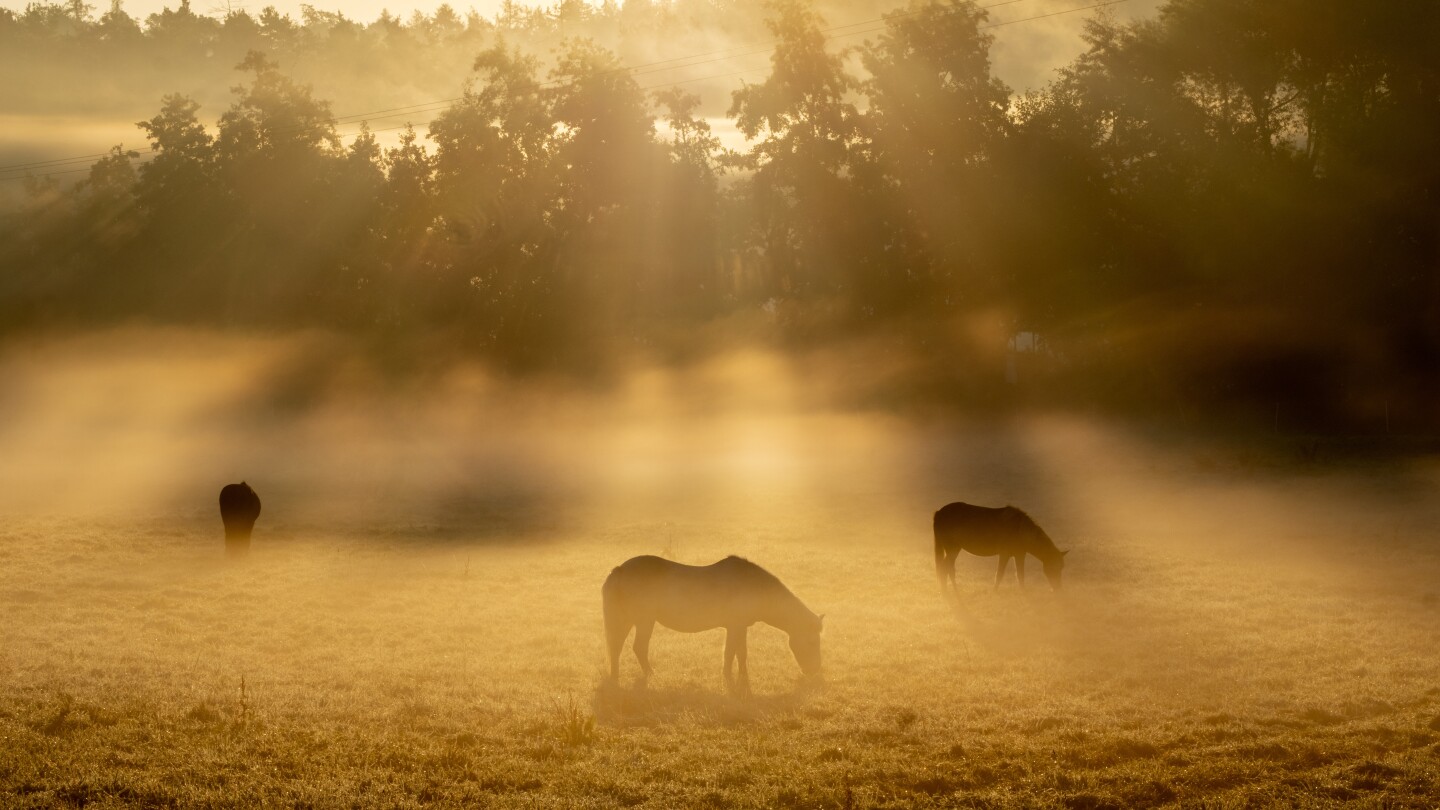 AP Week in Pictures: Europe and Africa | Sept. 29-Oct. 5, 2023 | AP News