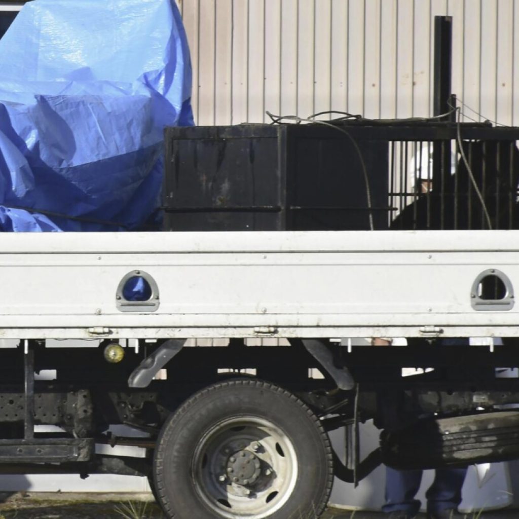 3 bears are captured after sneaking into a tatami factory as northern Japan faces a growing problem | AP News