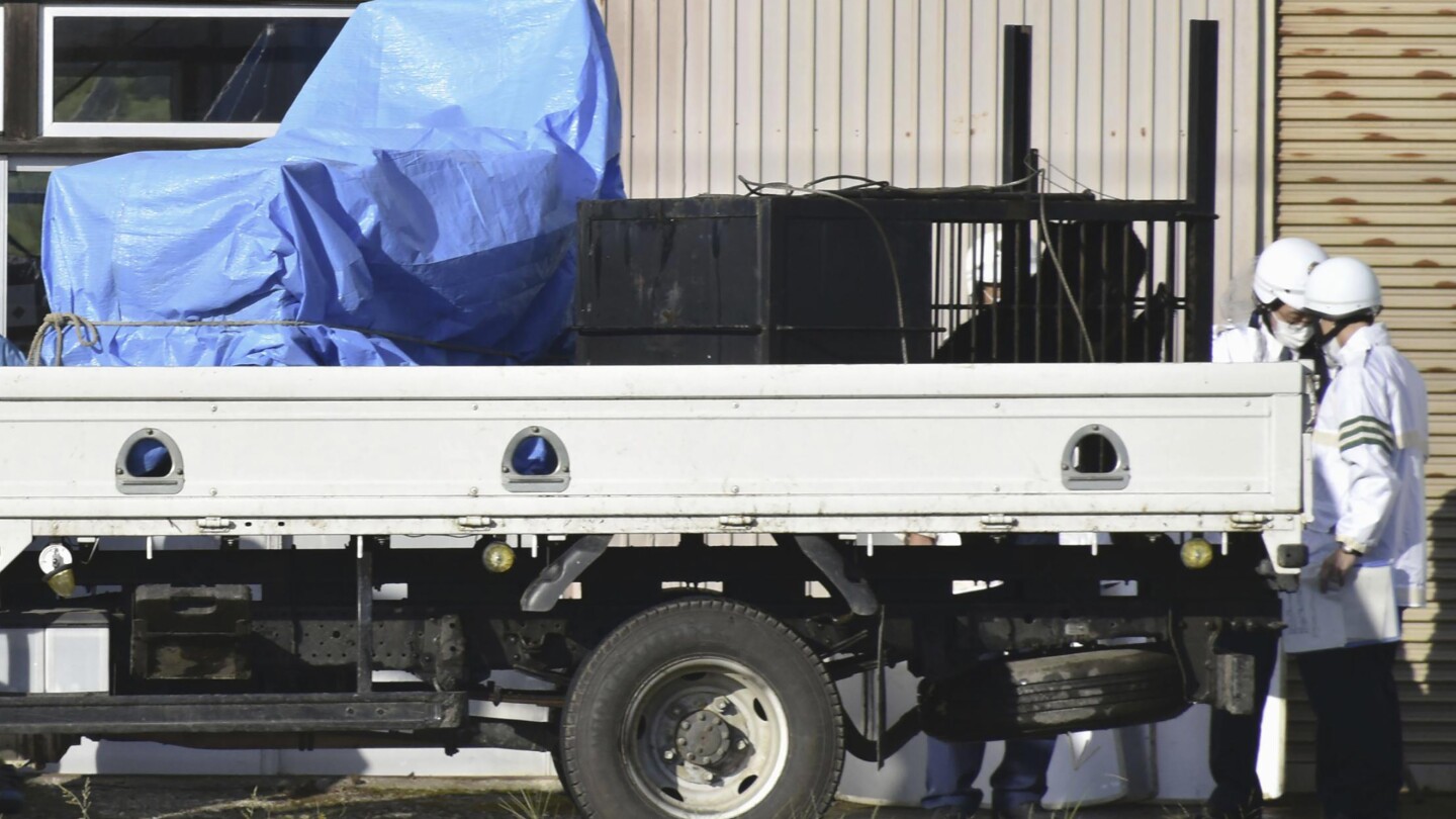 3 bears are captured after sneaking into a tatami factory as northern Japan faces a growing problem | AP News