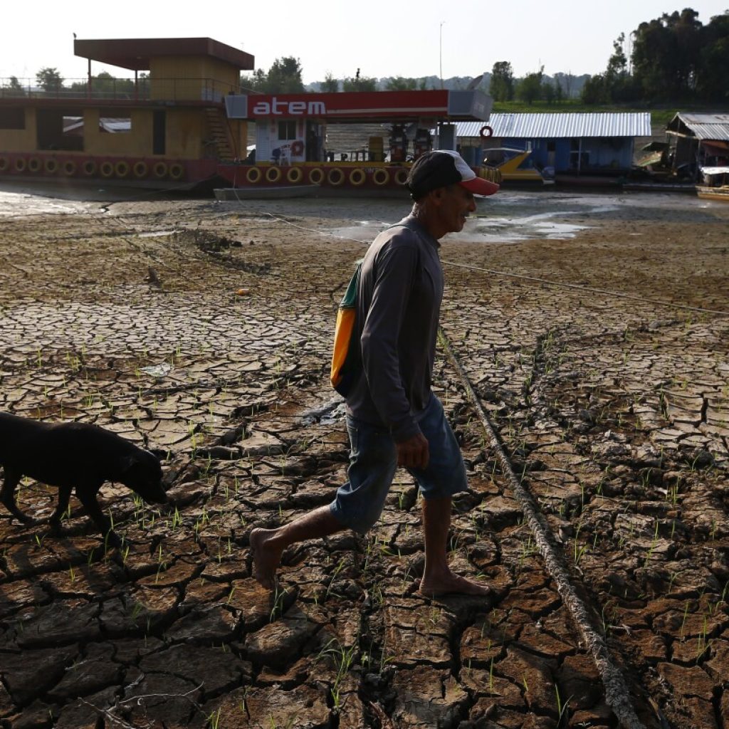 ‘Without water, there is no life’: Drought in Brazil’s Amazon is sharpening fears for the future | AP News