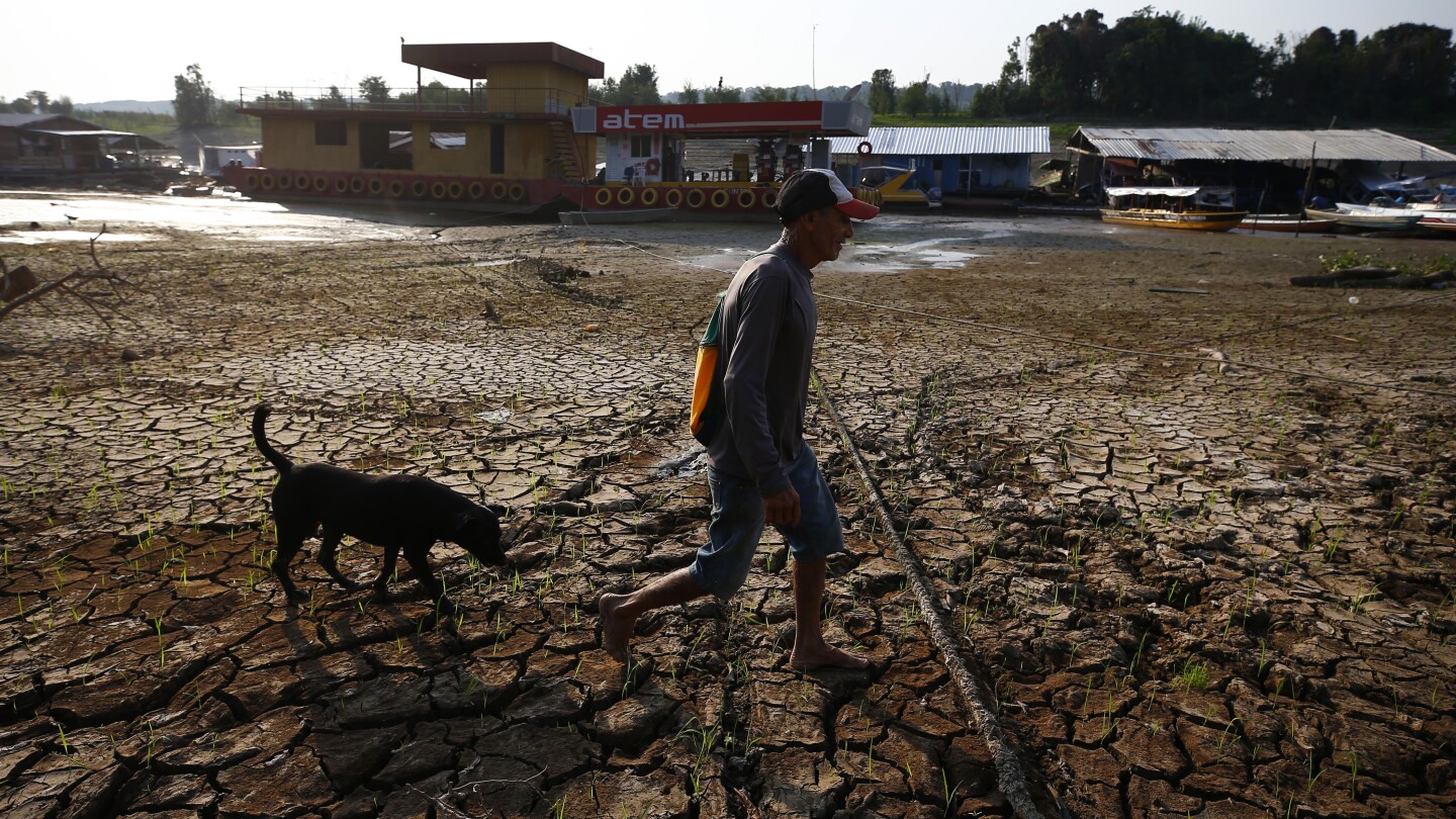 ‘Without water, there is no life’: Drought in Brazil’s Amazon is sharpening fears for the future | AP News