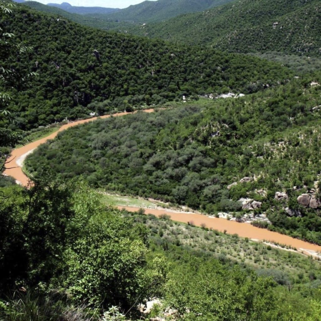 Mexico takes mining company to court seeking new remediation effort for Sonora river pollution | AP News