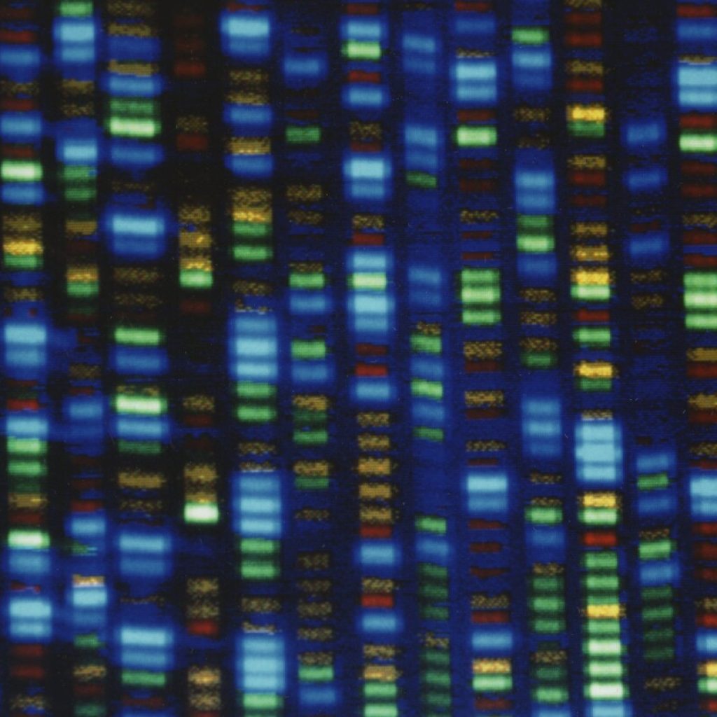 People of African ancestry are poorly represented in genetic studies. A new effort would change that | AP News