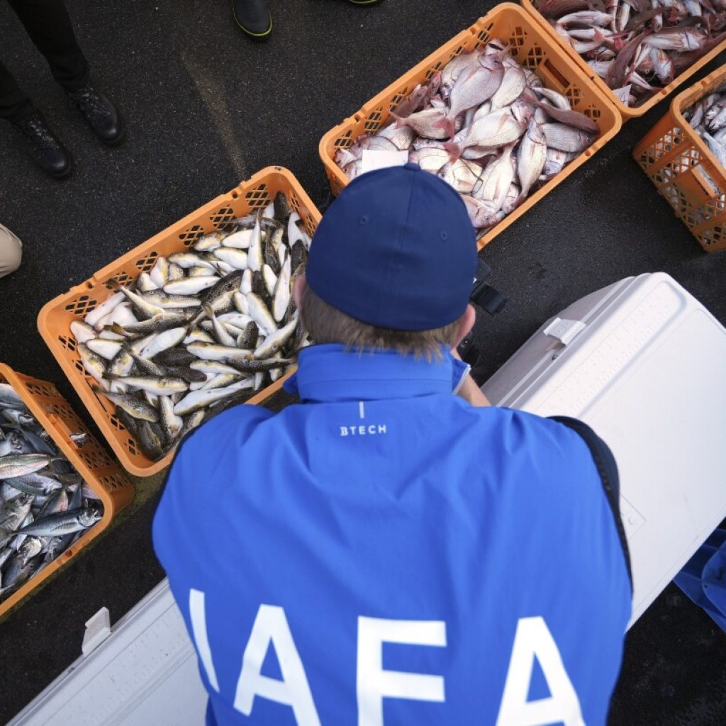 UN nuclear agency team watches Japanese lab workers prepare fish samples from damaged nuclear plant | AP News