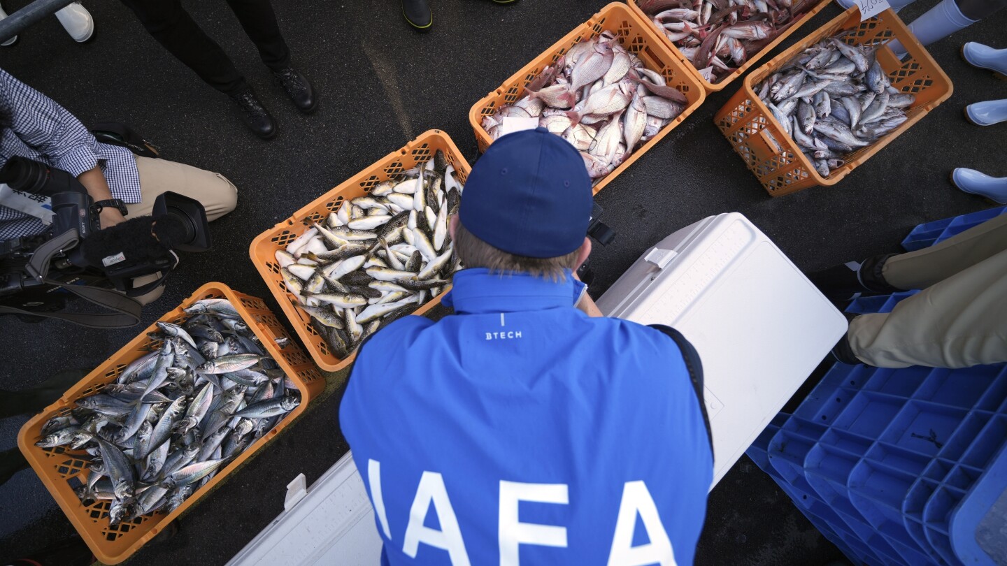 UN nuclear agency team watches Japanese lab workers prepare fish samples from damaged nuclear plant | AP News